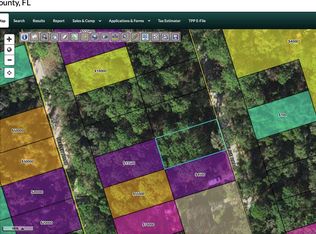 Xx Rochelsie Rd, Crawfordville, FL 32327