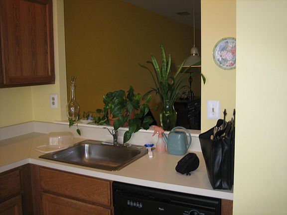 Kitchen View from Kitchen