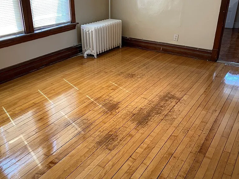 1508 S 1st Ave — Photo 12