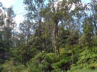 11-2833 Kahaualea Rd #40, Volcano, HI 96785