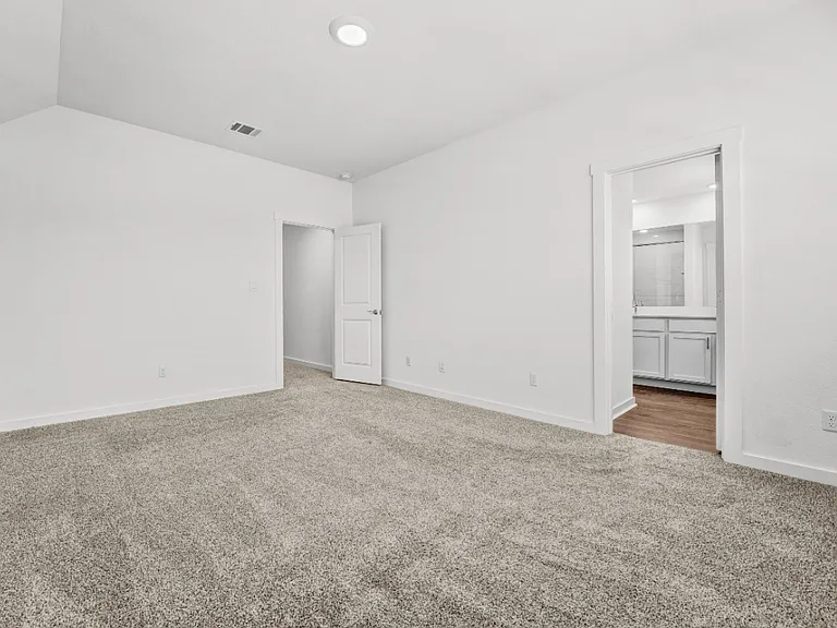 2505 Liam Aurora Ln — Photo 10