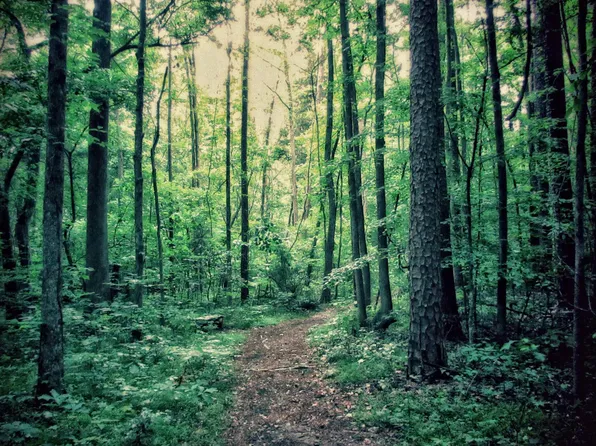 LOT 2 And 3 Lost Valley Drive Orch, Greenbrier, AR 72058
