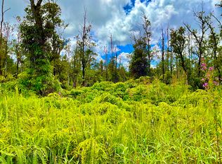 11-2773 Ala Kapena LOT 45, Volcano, HI 96785