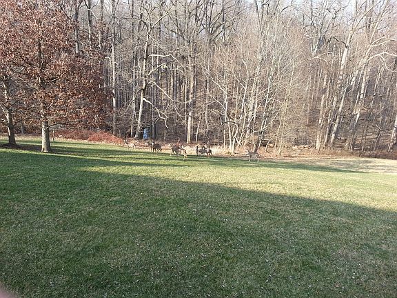 2nd image of 14160 Saddle River Dr #1