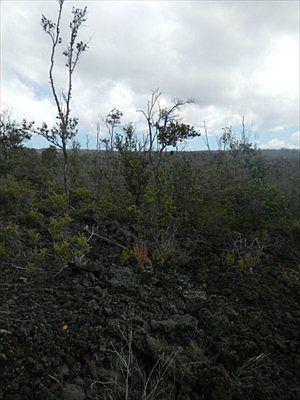 2nd image of Leilani Pkwy Lot 25