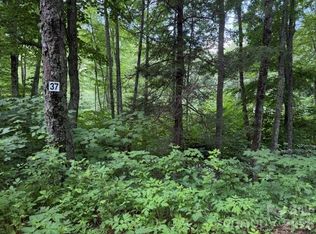 37 Odalu Trl, Maggie Valley, NC 28751
