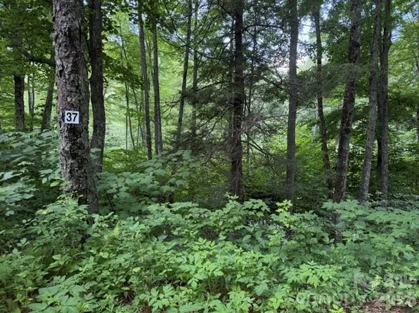 37 Odalu Trl, Maggie Valley, NC 28751