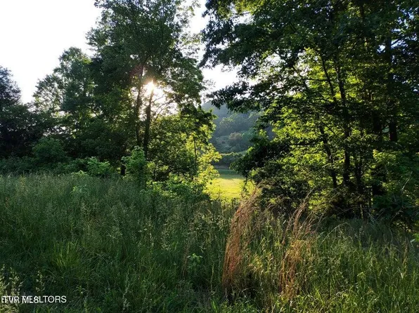 Tbd Main St, Sneedville, TN 37869