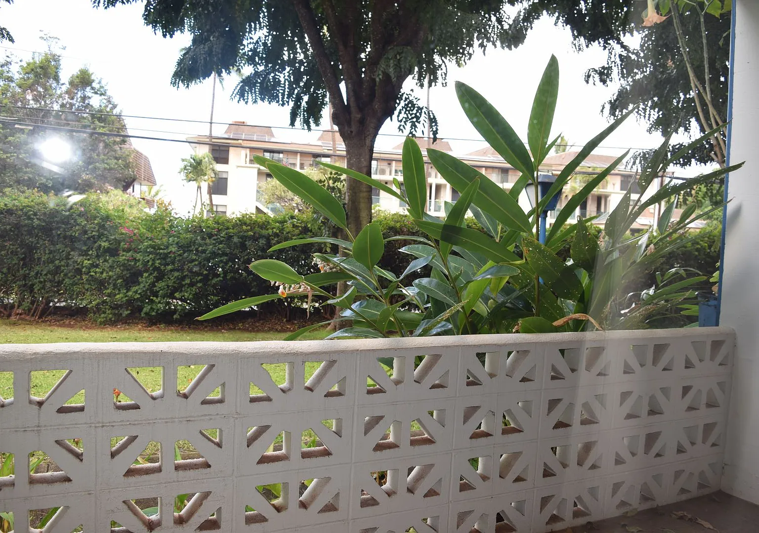 Leinani - Honokowai- Lahaina - ground floor 1bd 1 ba — Photo 4