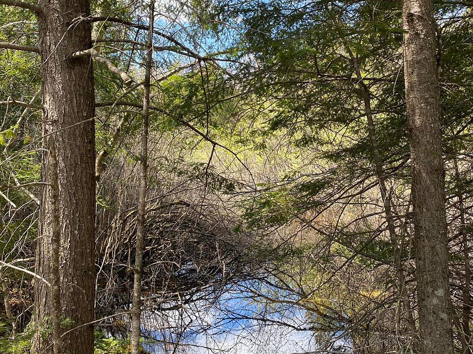 13 N Long Swamp Rd, Brooks, ME 04921 MLS 1558715 Zillow