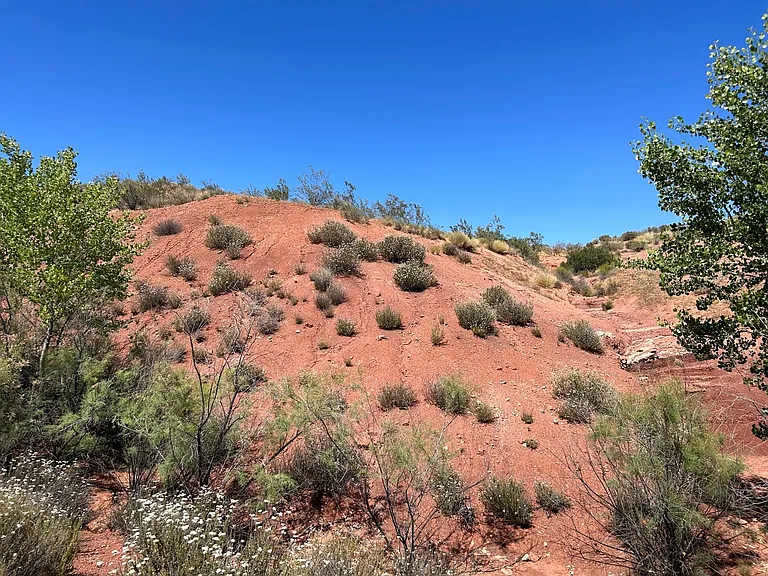 2094 N Red Mountain Rd — Photo 32