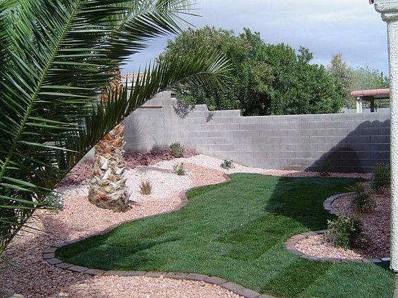 Backyard 2