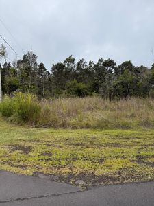 Jade Ave Lot 447, Volcano, HI, 96785