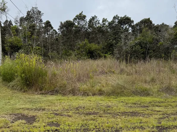 Jade Ave Lot 447, Volcano, HI 96785