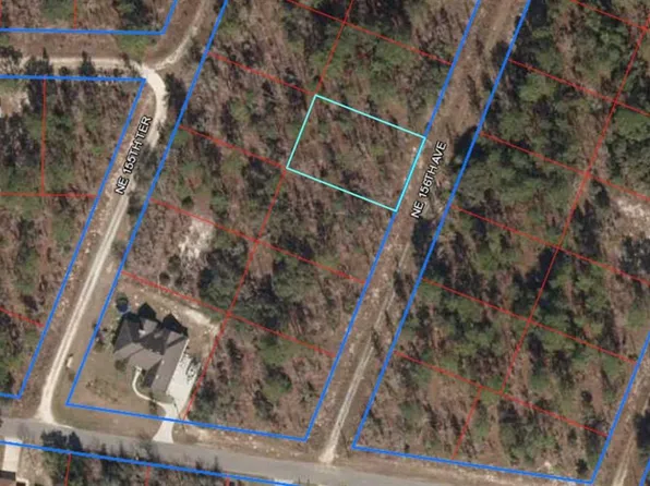 Lot 5 NE 156 AVENUE LOT 5, WILLISTON, FL 32696