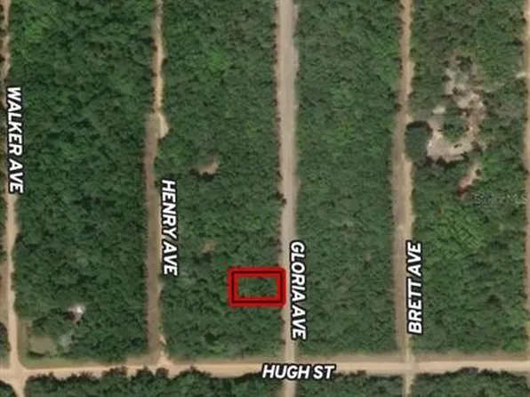 LOT 20 Gloria Ave Lot 20, Interlachen, FL 32148