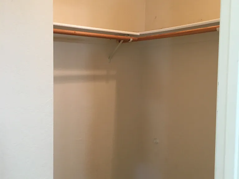 Master bedroom with walk-in closet