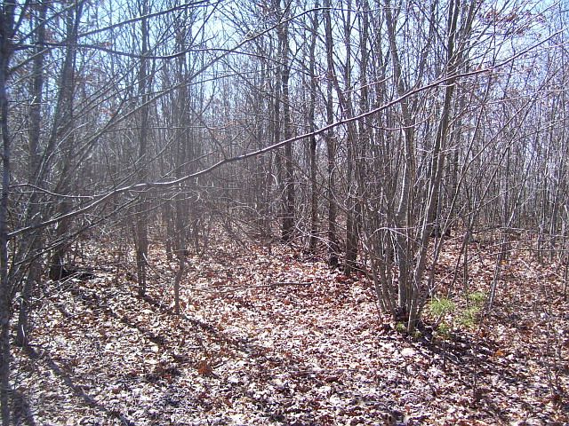 1st image of 255 Hilltop Ln