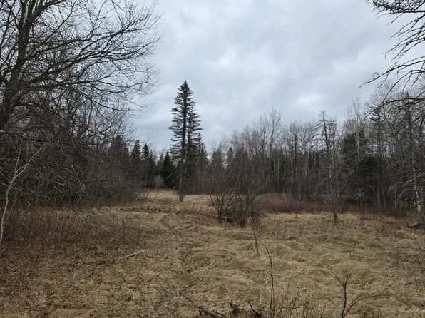 L4 B 288th Ave NW #3, Zimmerman, MN 55398