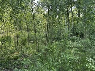 5th image of 1745 W DEAN ROAD