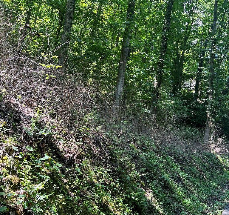 1st image of LOT 5&7 Section #3