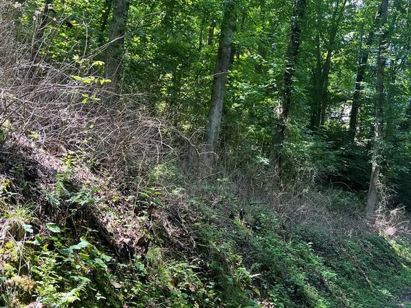 LOT 5&7 Section #3, Pikeville, KY 41501