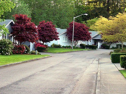 Beautiful streets and grounds