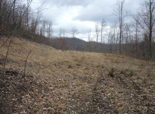 153 Replete Rd, Hacker Valley, WV 26222