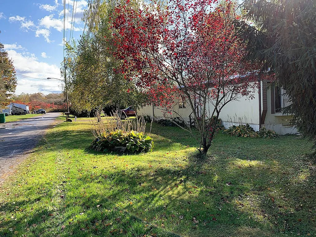 9829 North St photo 1