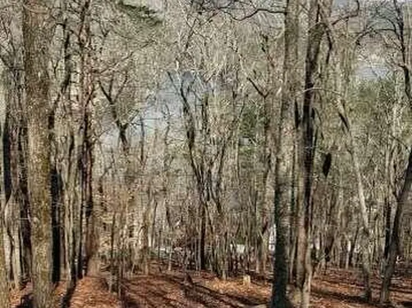 125 Douglas Fir Dr, Waleska, GA 30183