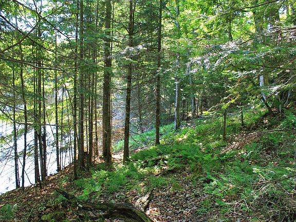 5th image of LOT W Fisher Lake Rd #W