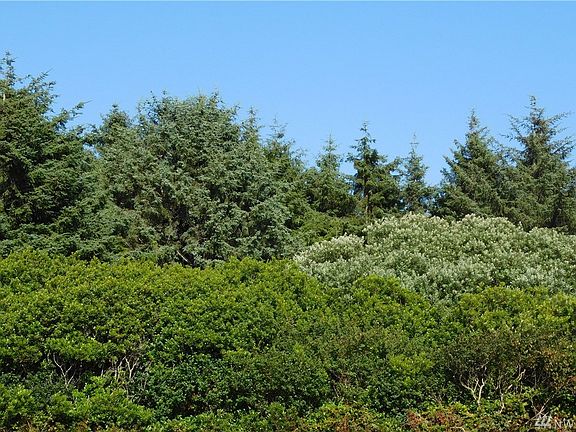 2nd image of 390 Ocean Shores Blvd SW