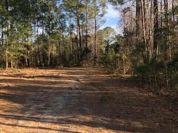 8 Milcrest Dr, Awendaw, SC 29429