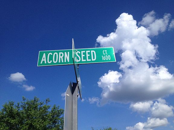 5th image of 1603 Acorn Seed Ct