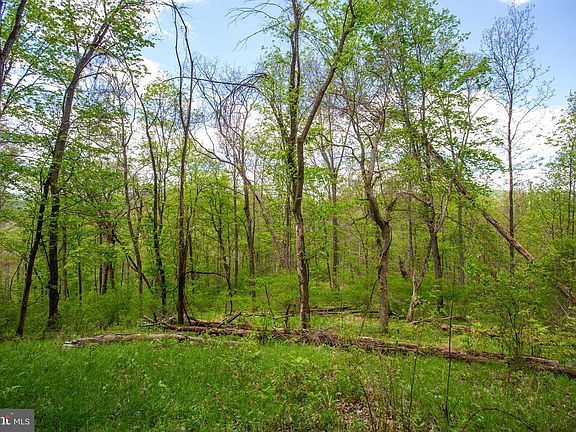 4th image of 0 Church Mountain Ln