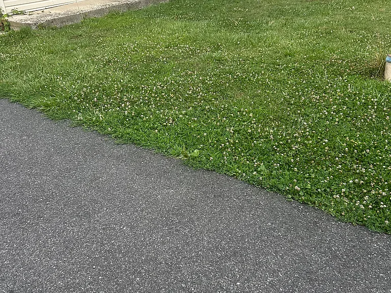 Douglass Dr — Photo 24