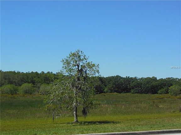 3rd image of 16541 Sandhill Crane Dr