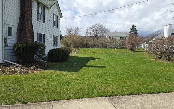 3rd image of 167 McCauley Ave