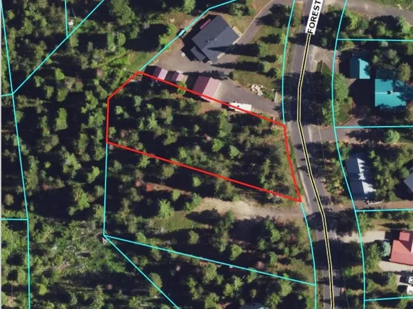96 Forest Lake Cir, Donnelly, ID 83615