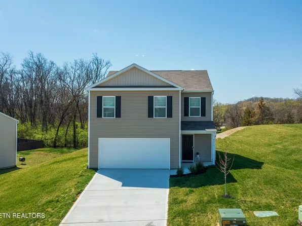 9315 River Cane Rd, Mascot, TN 37806