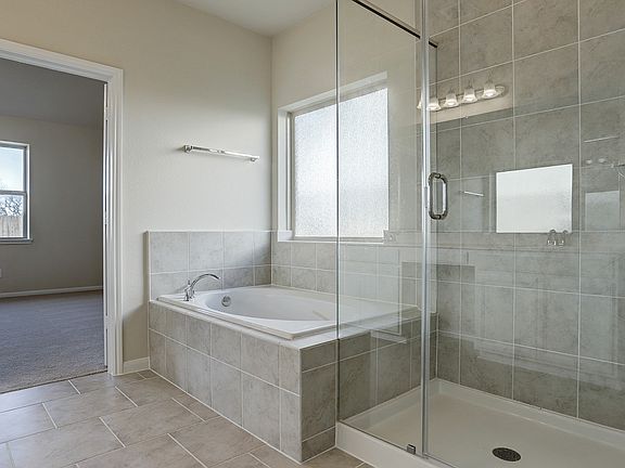 Luxurious owner s bath