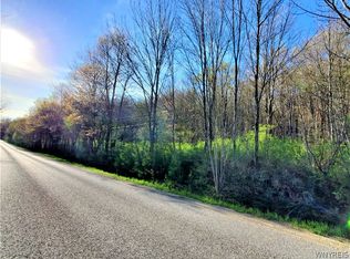 0 Plato Rd #29, East Otto, NY 14729