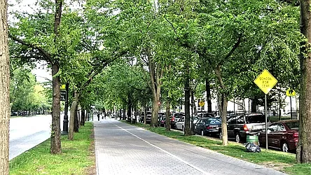 Rented by RBM Management