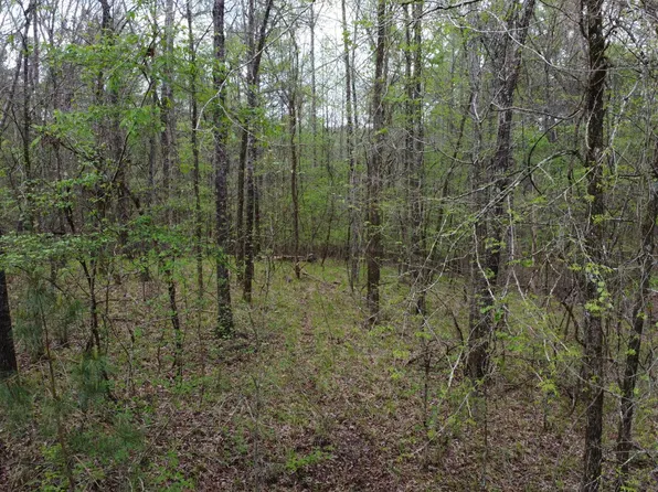 Wind Row Ln, Bremen, AL 35033