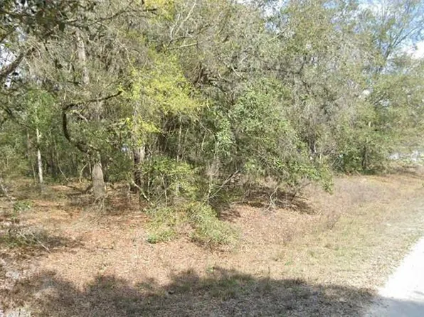 0 SW 106th Pl, Dunnellon, FL 34432