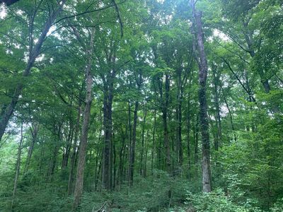 0 Utopia Rd, Derby, IN, 47525