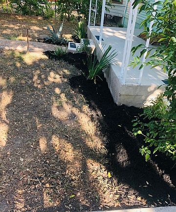 5th image of 142 Holly St
