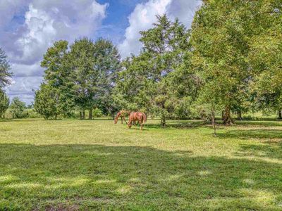 8430 Tidwell Rd, Milton, FL, 32571