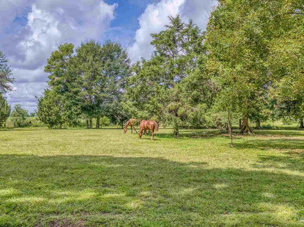 8430 Tidwell Rd, Milton, FL 32571