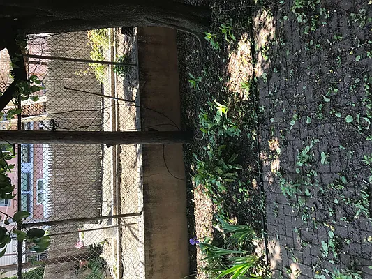 Rented by Nooklyn NYC LLC | media 25